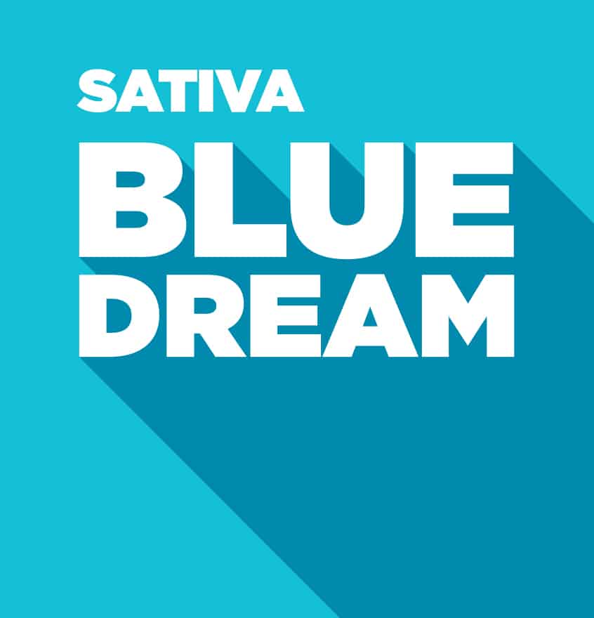 Sativa – Blue Dream