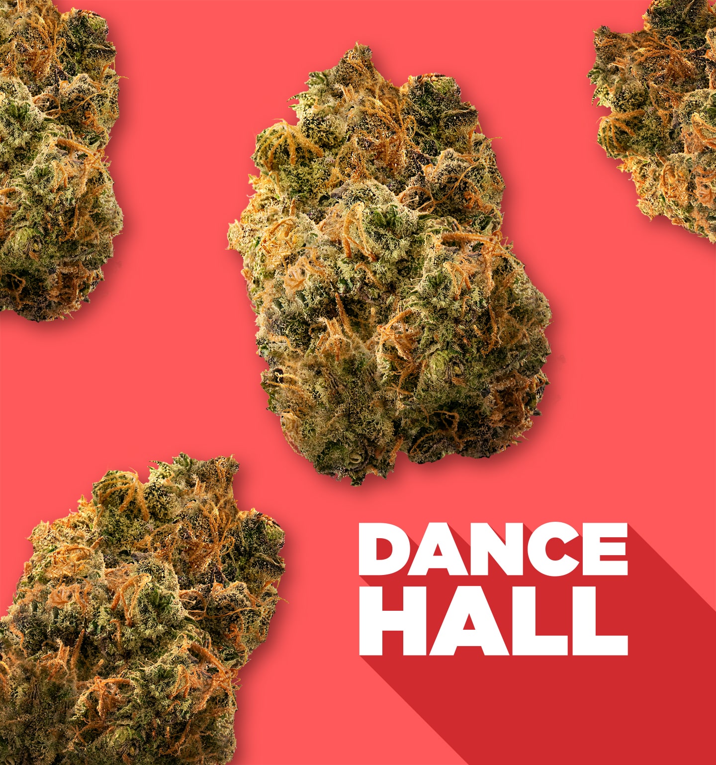 Dancehall with nugs