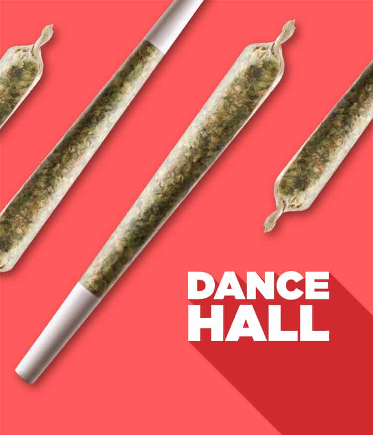 Dancehall with pre-roll