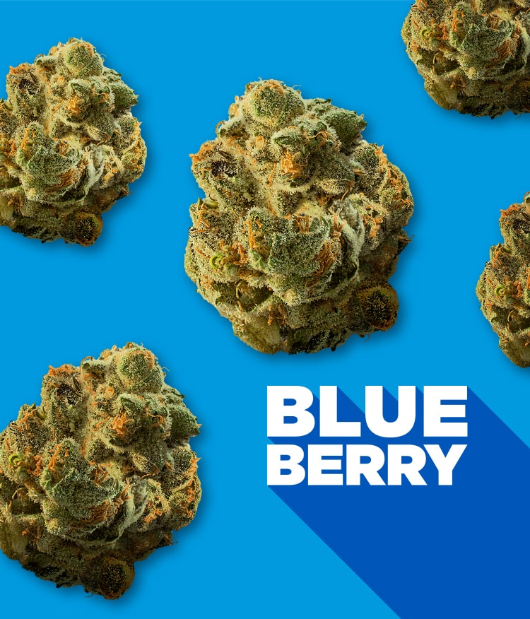 Blueberry with nugs