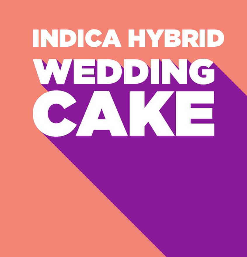 Indica Hybrid Wedding Cake