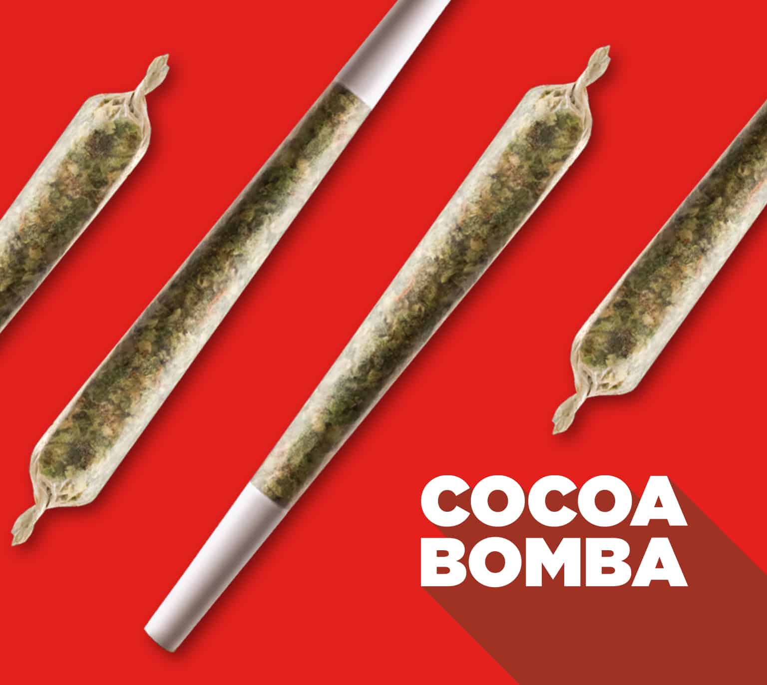 cocoa bomba with pre-roll