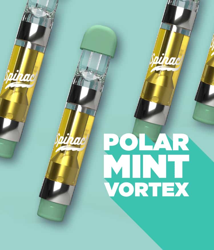 polar mint vortex with vape