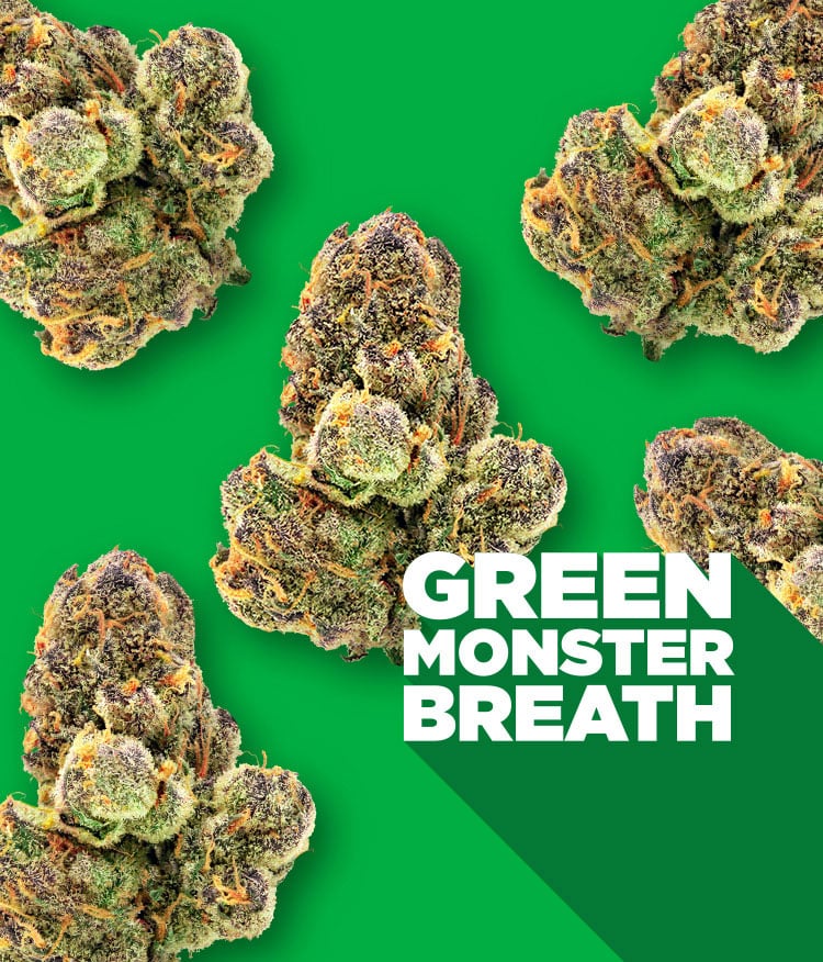 green monster breath bud