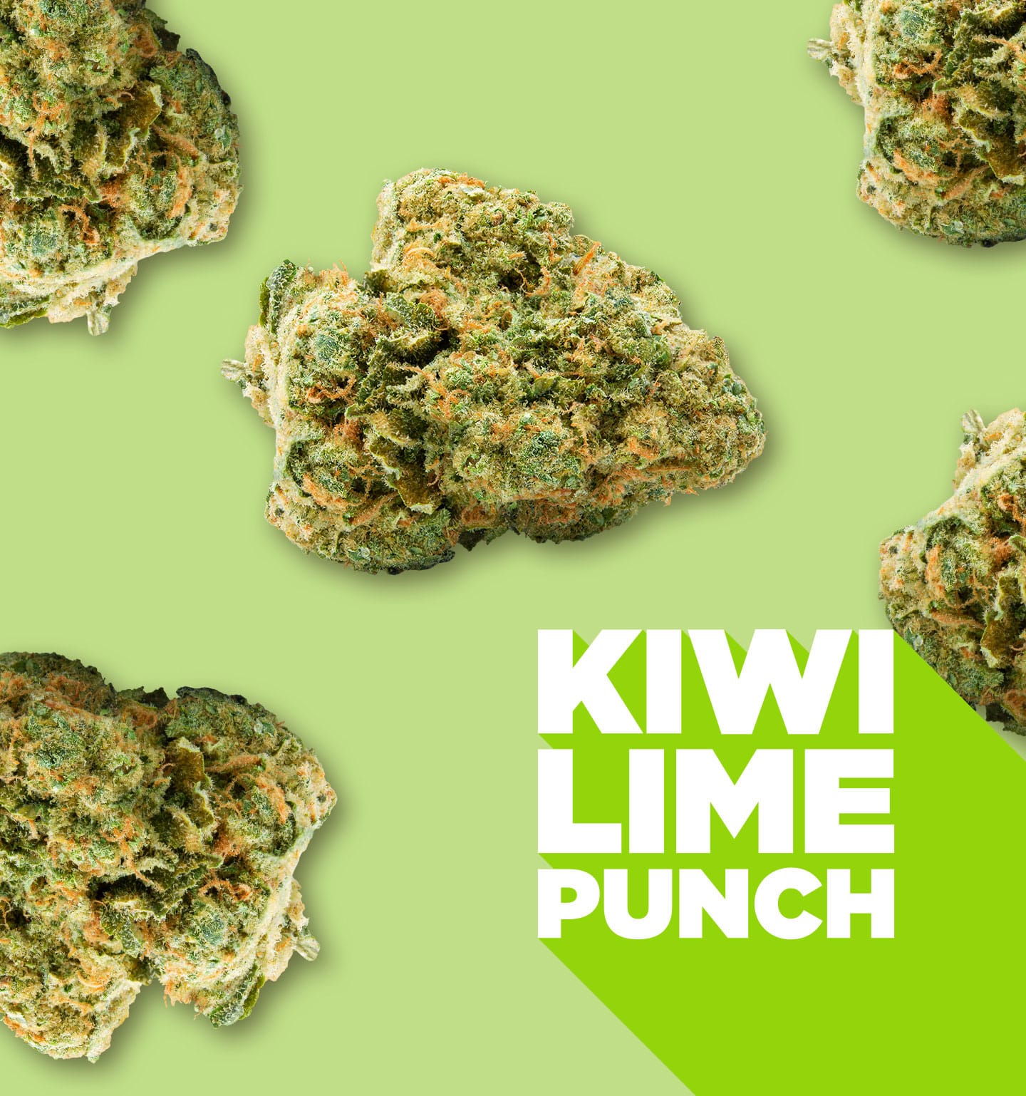 kiwi lime punch bud