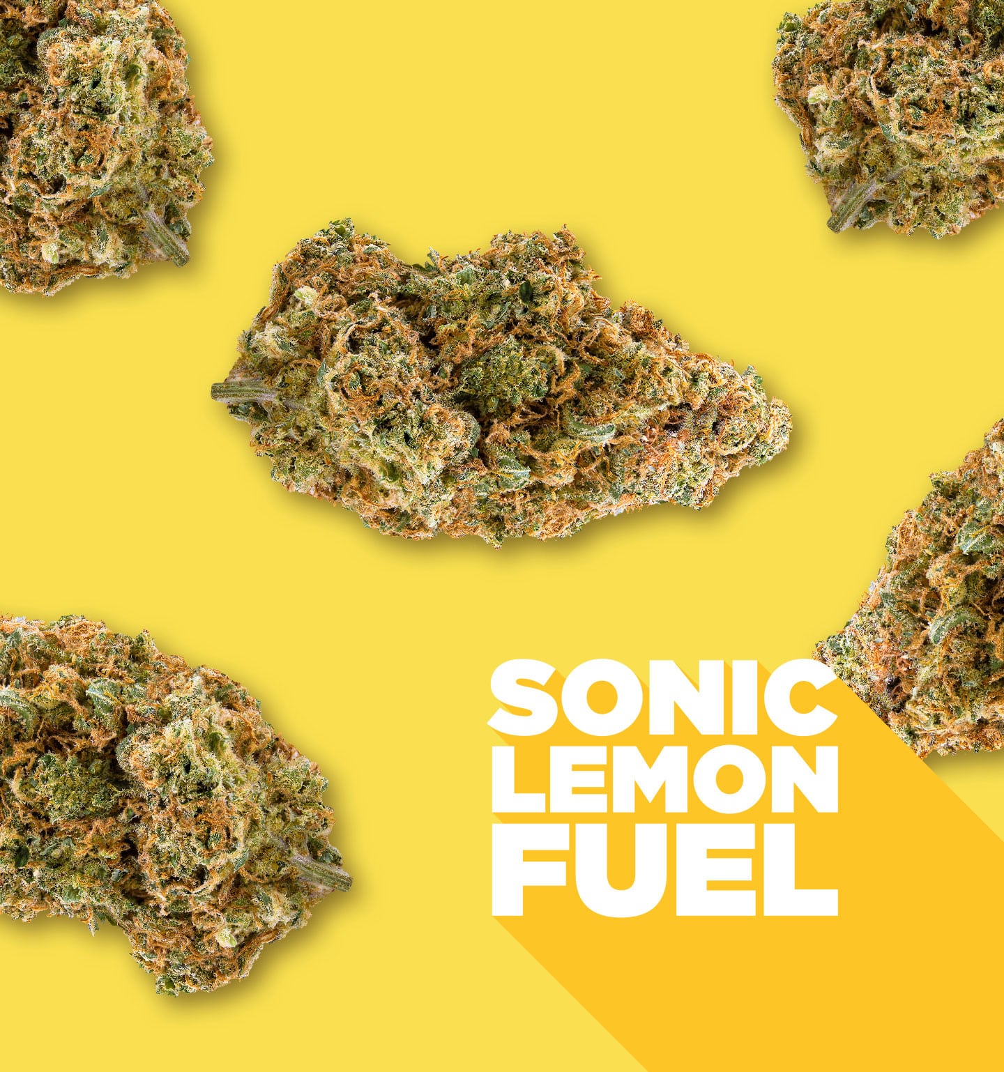 sonic lemon fuel flower
