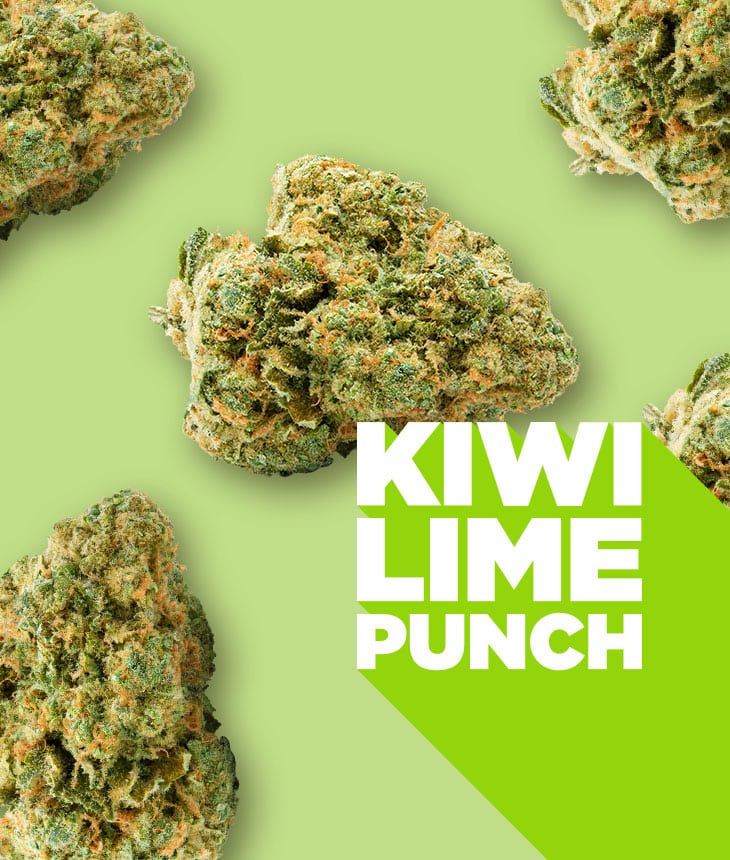 kiwi lime punch bud