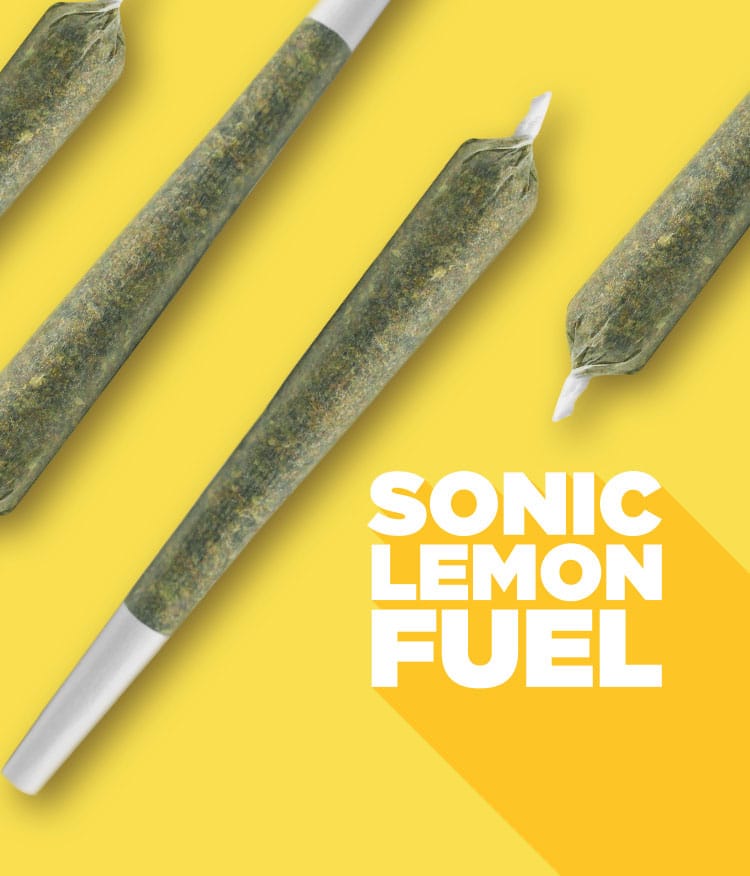 sonic lemon fuel pre-roll